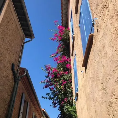 66b - Beautiful Flat 800m From The Sea With Private Parking Lägenhet Collioure