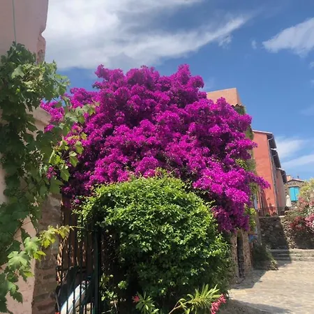 66b - Beautiful Flat 800m From The Sea With Private Parking * Collioure