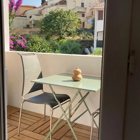 66b - Beautiful Flat 800m From The Sea With Private Parking Apartment Collioure