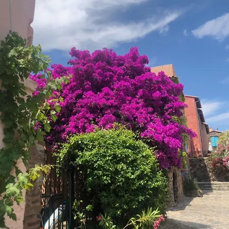 66b - Beautiful Flat 800m From The Sea With Private Parking Apartamento Collioure