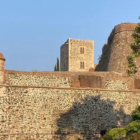 66b - Beautiful Flat 800m From The Sea With Private Parking Apartamento Collioure