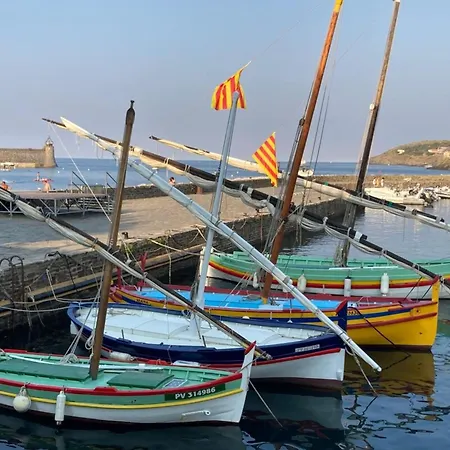 66b - Beautiful Flat 800m From The Sea With Private Parking * Collioure