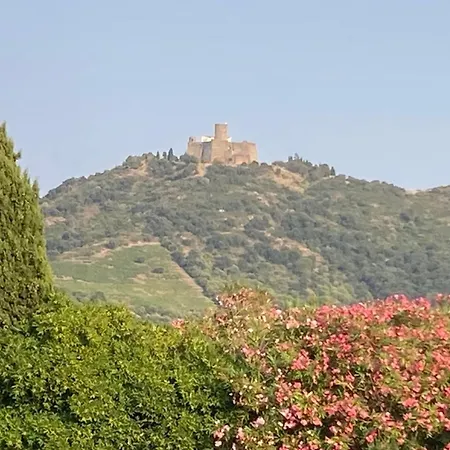 66b - Beautiful Flat 800m From The Sea With Private Parking Collioure